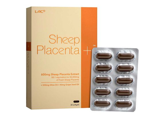 Sheep Placenta +