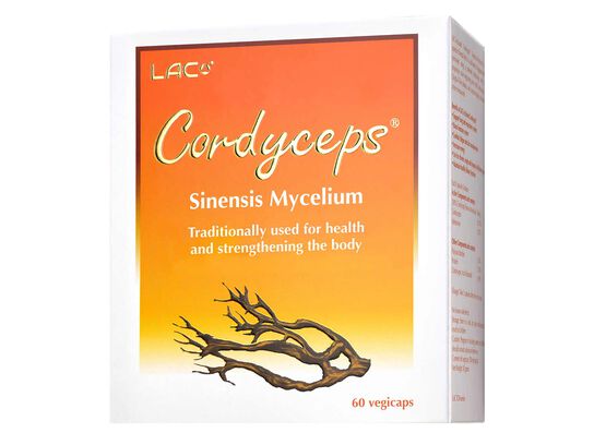 Cordyceps