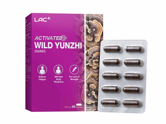 Wild Yunzhi 500mg